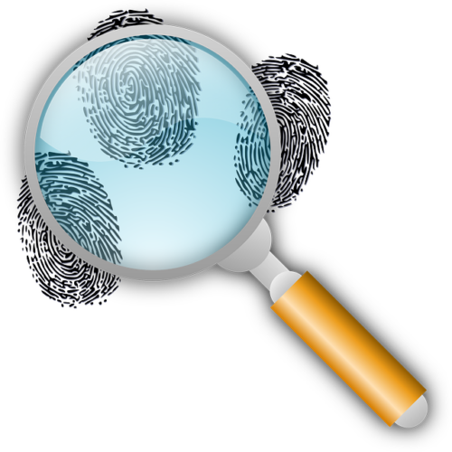 detective, clues, find