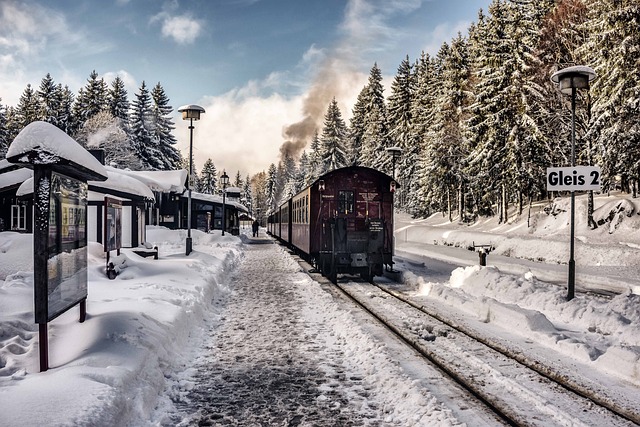 snow, winter, christmas