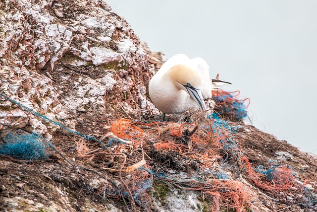 safety net, spirit network, plastic waste