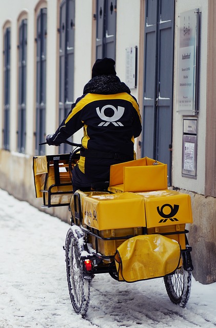 bicycle, delivery, snow