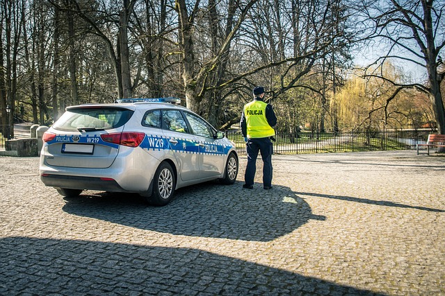 police, polish police, patrol